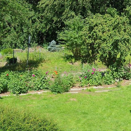 Ferienhaus In Geesthacht-Tesperhude Direkt Am Waldrand Eksteriør bilde