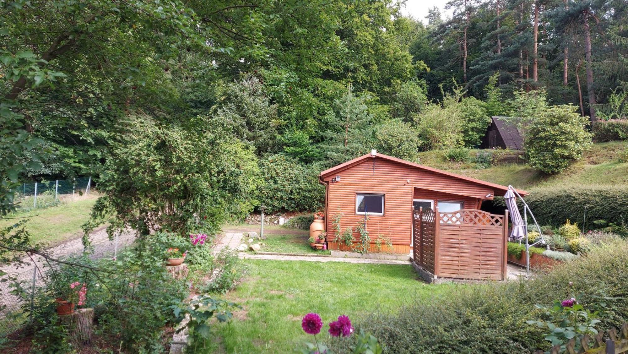 Ferienhaus In Geesthacht-Tesperhude Direkt Am Waldrand Eksteriør bilde