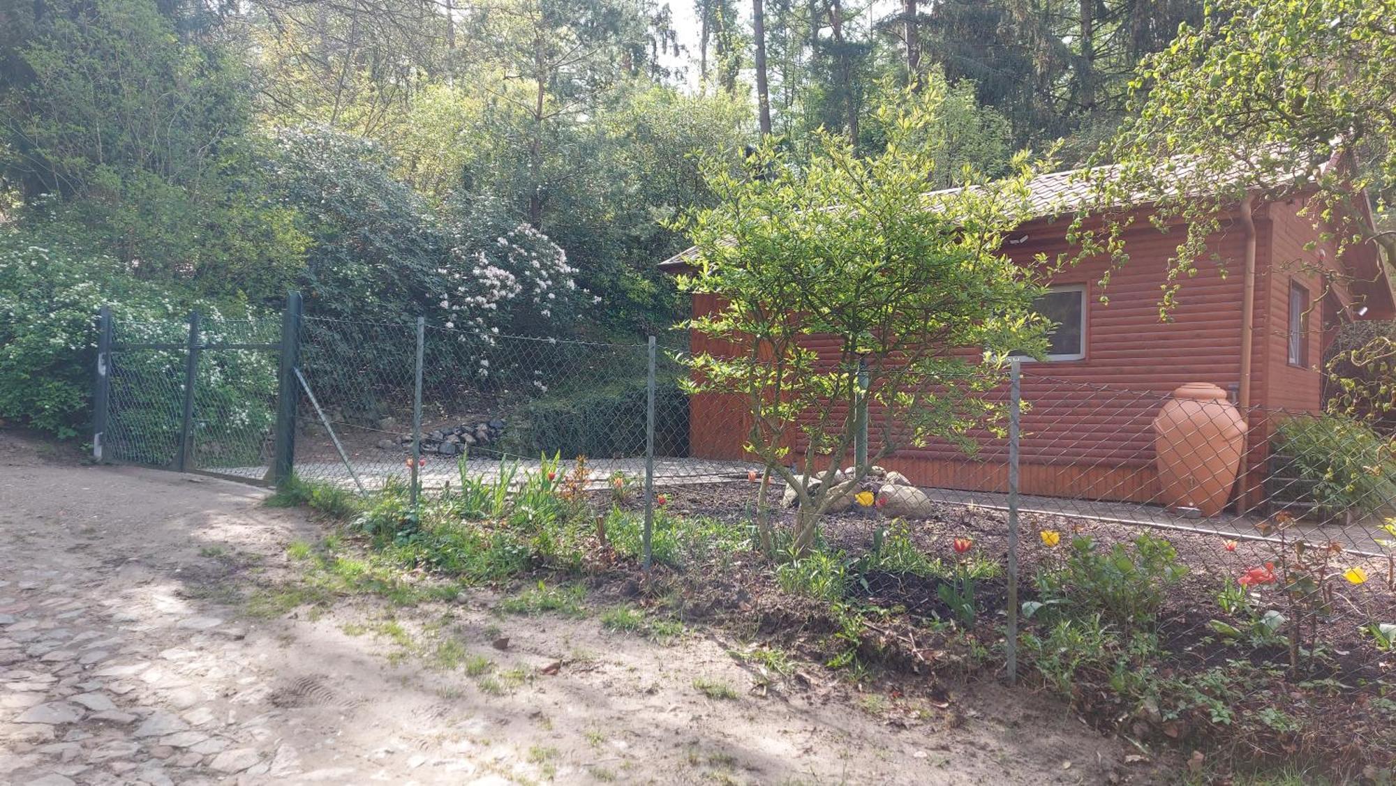 Ferienhaus In Geesthacht-Tesperhude Direkt Am Waldrand Eksteriør bilde