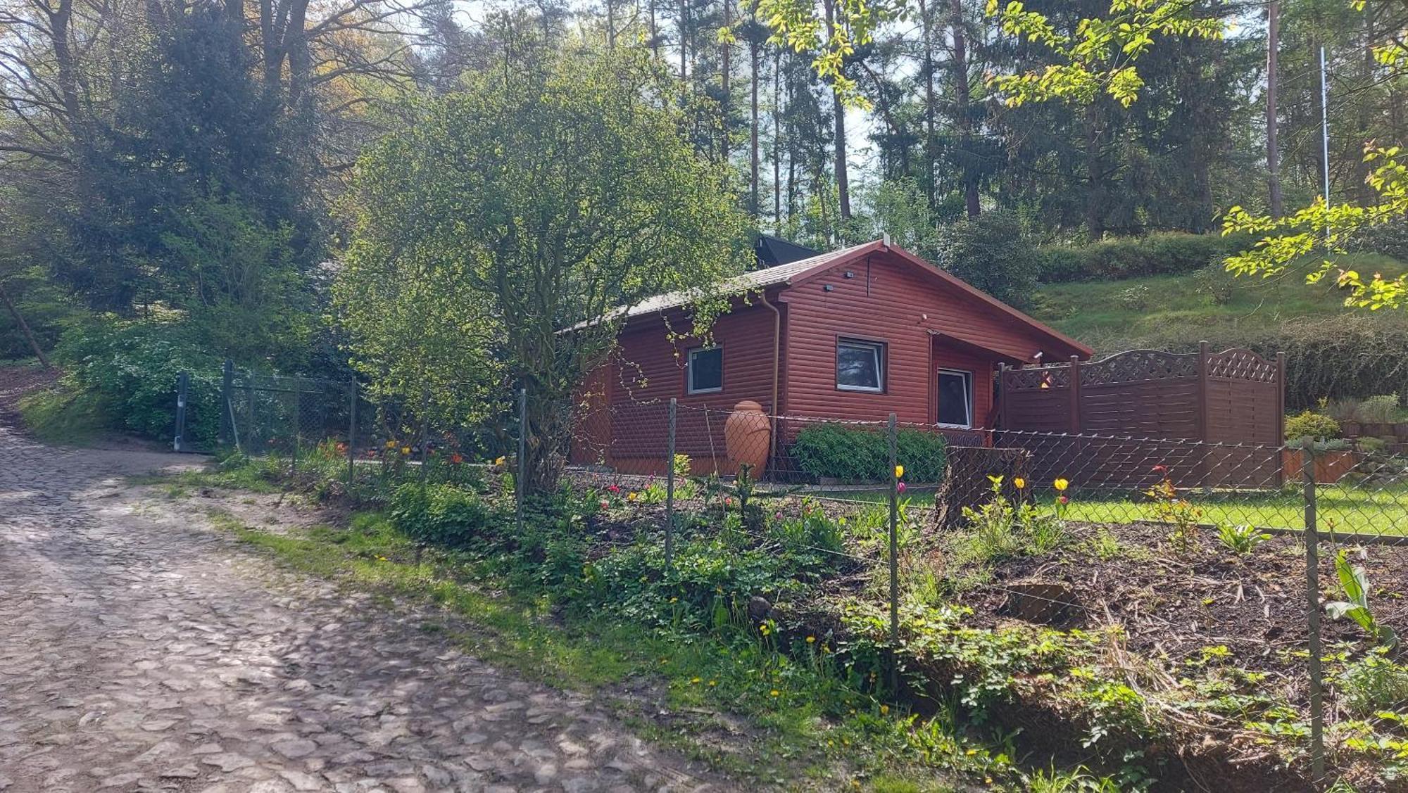Ferienhaus In Geesthacht-Tesperhude Direkt Am Waldrand Eksteriør bilde